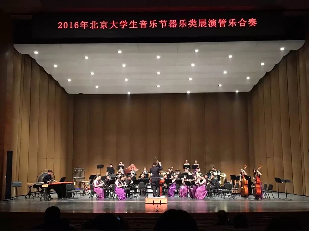 Live music performance, photograph 2
